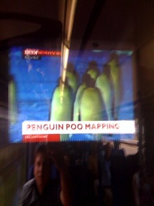 penguin poo mapping